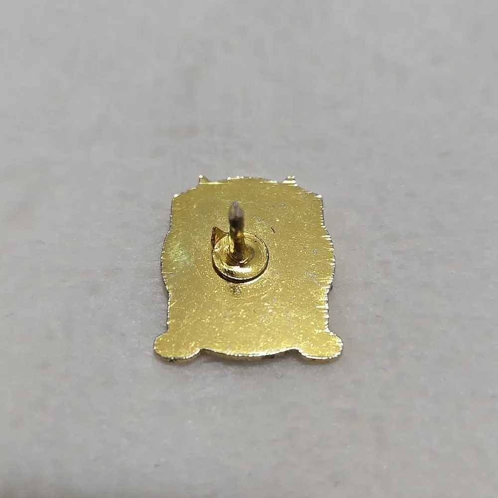 Law Enforcement Accreditation Pin